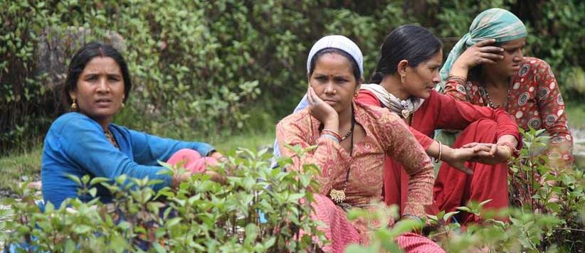 Women in Uttarakhand Panchayat Chunav